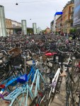 Sea of bikes