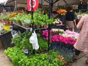 Flowers at Torvehallerne